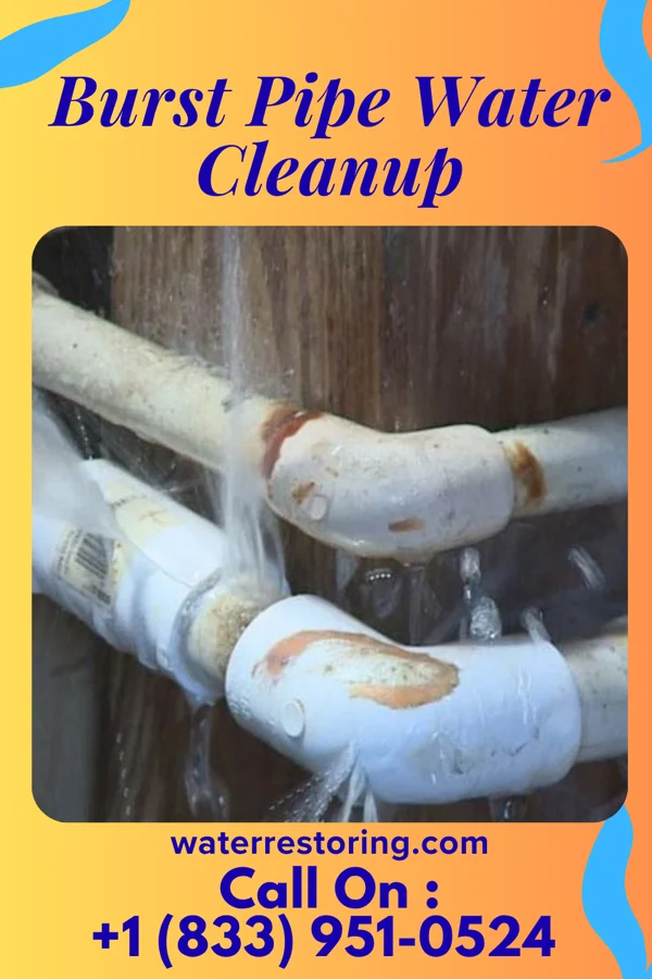 Burst Pipe Water Cleanup in Pitcairn, PA