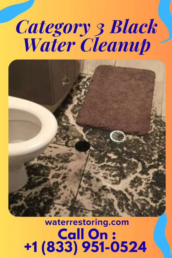 Category 3 Black Water Cleanup in Pitcairn, PA