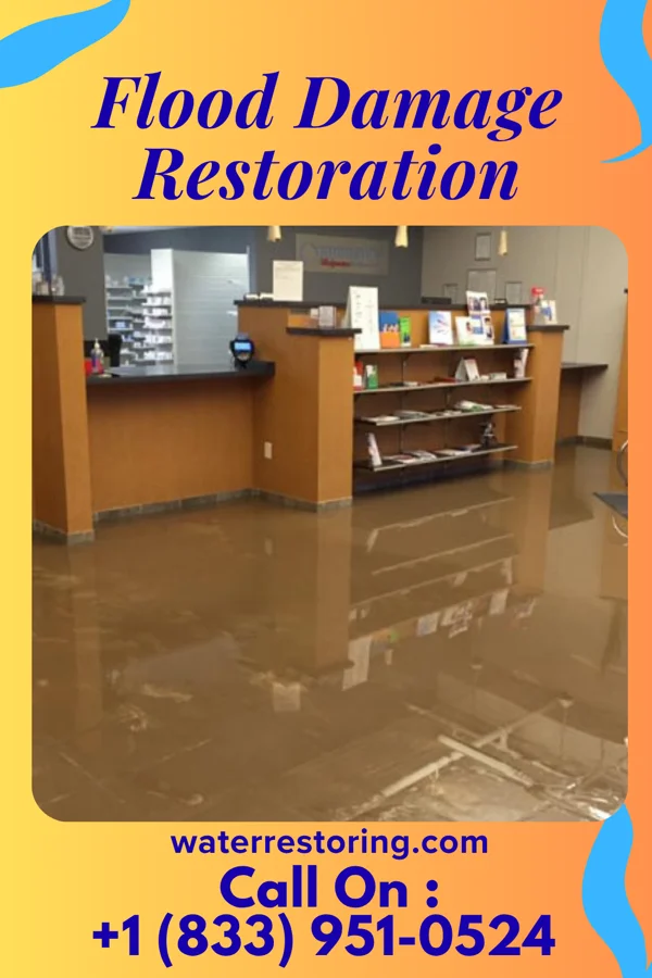 Flood Damage Restoration in Pitcairn, PA