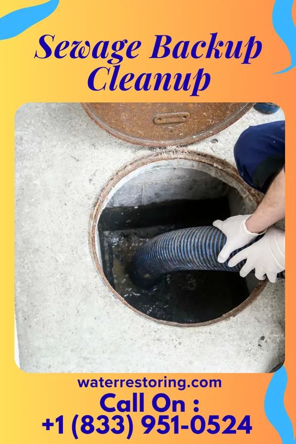 Sewage Backup Cleanup in Pitcairn, PA