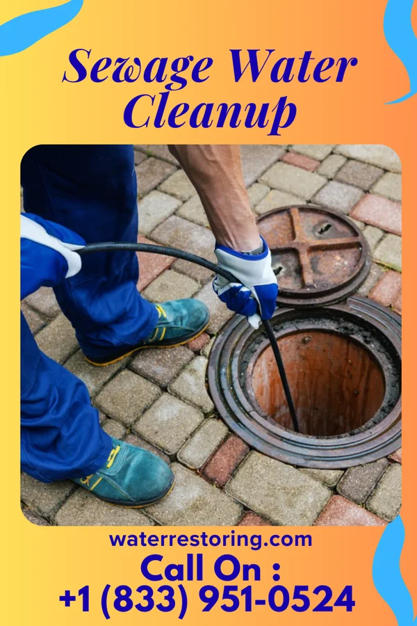 Sewage Water Cleanup in Pitcairn, PA